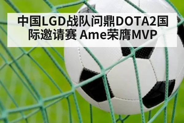 中国LGD战队问鼎DOTA2国际邀请赛 Ame荣膺MVP