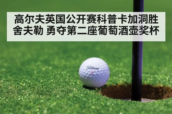 高尔夫英国公开赛科普卡加洞胜舍夫勒 勇夺第二座葡萄酒壶奖杯