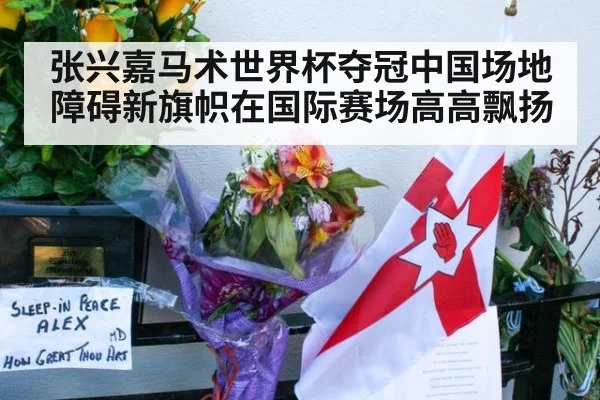 张兴嘉马术世界杯夺冠中国场地障碍新旗帜在国际赛场高高飘扬